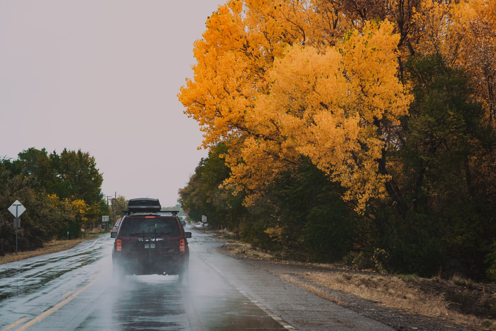 black car on road between trees during daytime